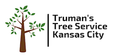 Tree Service Kansas City Logo